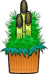 [ kadomatsu ]